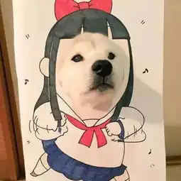 同时撩了好几个女生,但我一点也不渣
