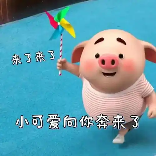 壁纸集我也不想这么萌呀,谁让我是猪小屁呢
