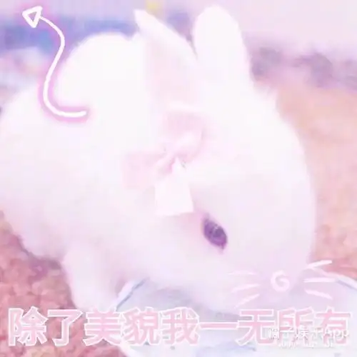 素媛霸王别姬...哪部电影曾经狠虐过你
