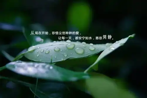微信早安心语配图片
