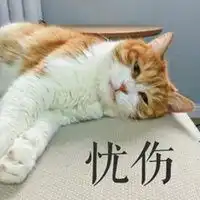 忧伤猫表情包微信头像图片大全
