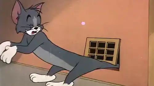 猫和老鼠看到白猫被杰瑞亲一口后的邪魅一笑,就知道事情不简单
