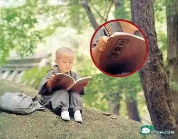 转发几个强图
