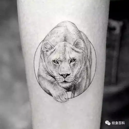 软萌头像纹身,小小一枚很可爱
