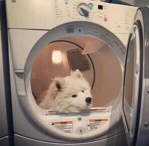 情趣
