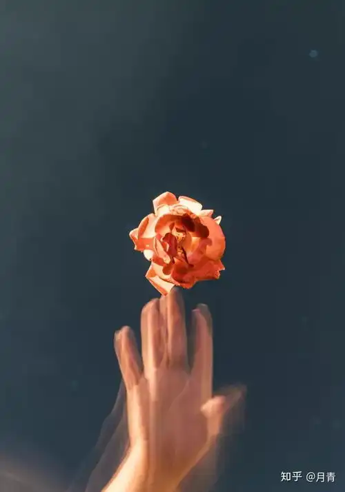 月光是海的梦境,而你是我的远行
