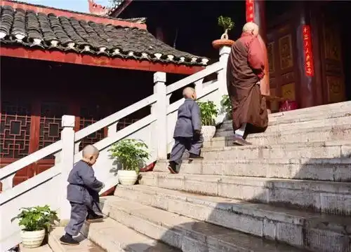 现实版的乌龙院,美丽的贵州大山里有一群萌化世人的小和尚

