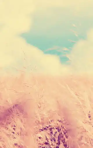 自然清新大图手机壁纸
