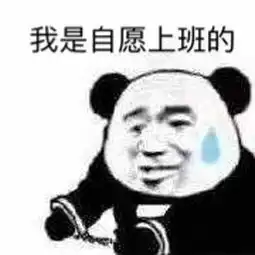 职场丧尸是什么意思
