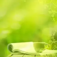 清新淡雅的图片头像微信头像图片大全
