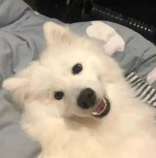 换微信头像走桃花运
