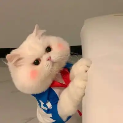 猫猫情头.比奶茶更让我心动的人情侣头像我要个性网
