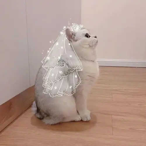 不正常人类研究中心专用头像
