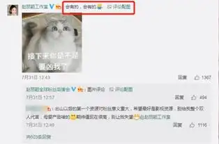 确定复工赵丽颖发文支持鹿晗,更换情侣头像力挺哪吒
