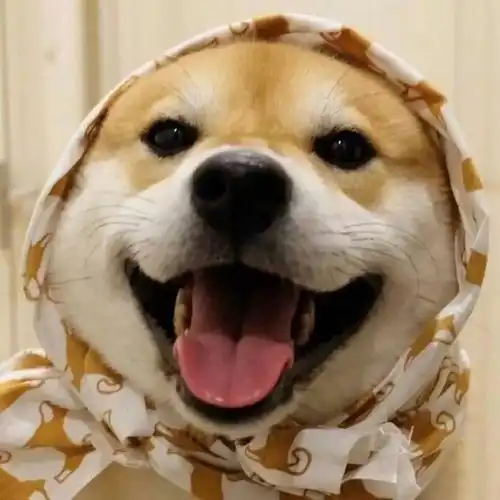 开奖了
