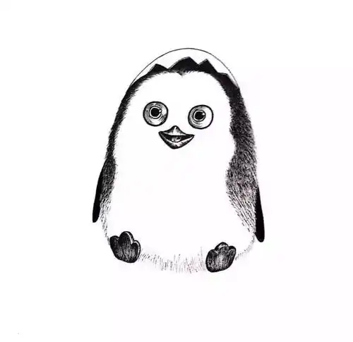 马达加斯加的小企鹅
