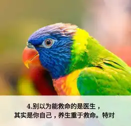 人生10大傻话粗理不粗
