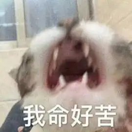 轻松一秒这样的女朋友,你几点回家
