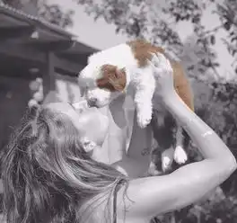 听说你还没有对象,你的七夕狗粮我包了
