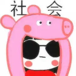 求此图单个图片
