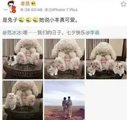 范冰冰花式虐狗表白李晨点亮七夕盘点明星情侣装最后一对很抢戏
