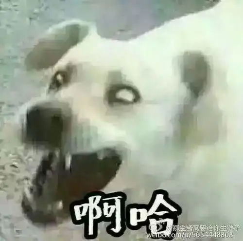 娘子啊哈头像,如下图,我找原图,谁有原图发给我
