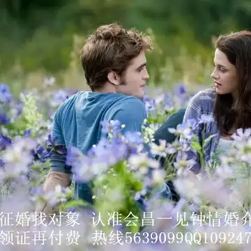 全站照片标签赣州婚介
