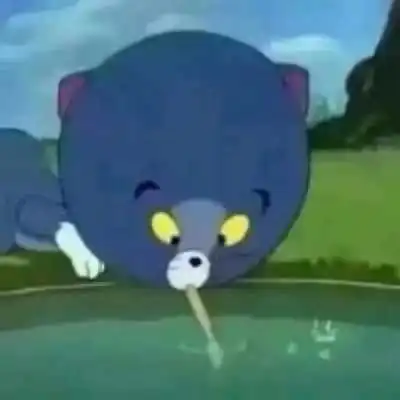 超级沙雕伴侣一左一右头像
