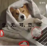 七夕前话预告单身汉们的绝地大反击
