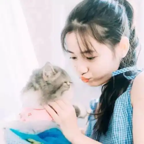 吸猫的另类打开方式隔着屏幕也能感受到猫的生无可恋
