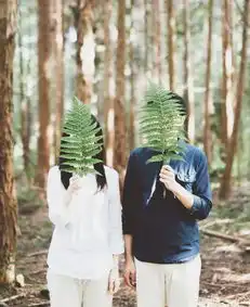 520今天的朋友圈,情侣照得这么拍
