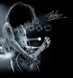 amantesdelrock
