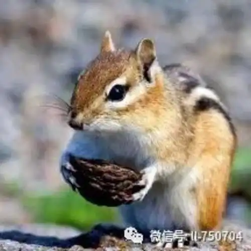 拥有爱的力量
