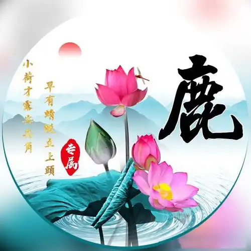 中国风微信头像,唯美古风风名字姓氏头像,映日荷花别样红
