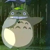 可爱龙猫动漫头像图片宫崎骏动画电影图片头像
