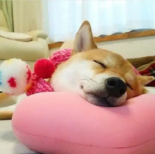 有哪些看起来格调很高的头像
