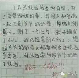 小学生作文,笑死人每个孩子都是天才

