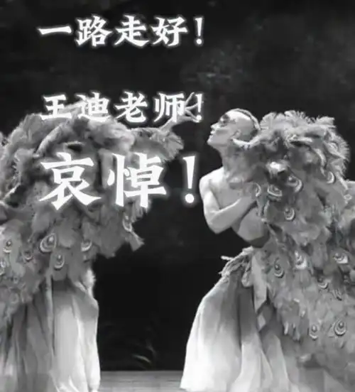 44岁王迪抑郁轻生,生前头像隐晦求救无人懂,杨丽萍作诗悼念破防
