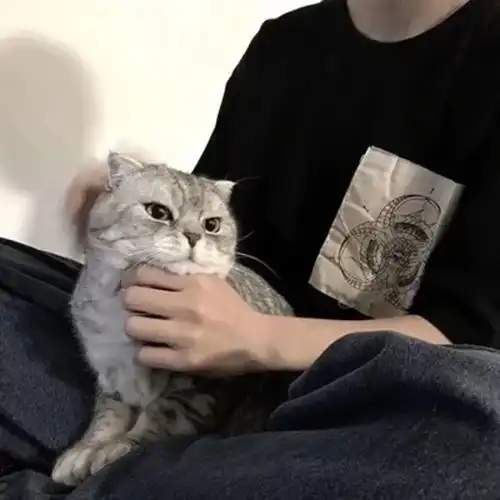 有没有一些有意境的男生头像
