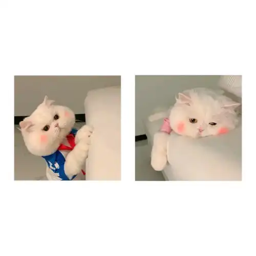 动物情侣头像情侣头像
