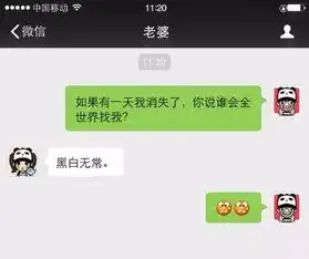 巴中一对90后小情侣,聊天记录被曝光太牛了
