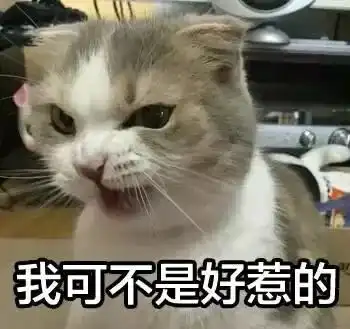 为啥听到猫咪一直哈气声就想揍它猫咪哈气凶人是什么意思
