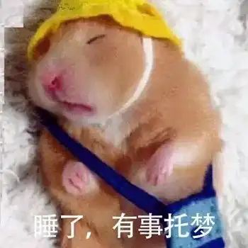 沙雕小动物表情包越可爱,越萌,越骚
