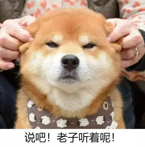 这个国家人口稀少,但等车队伍竟然比中国的还长
