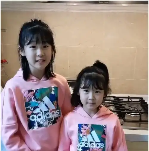 陆毅夫妇基因太强大,2个女儿共用一张脸,网友误以为是p的
