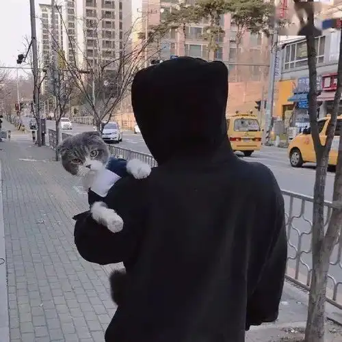 头像合集
