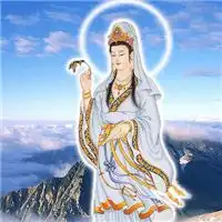 观音头像图片大全微信最好看的观音菩萨图片
