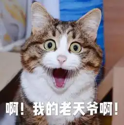 情侣分手要还钱法院转账金额1314520系示爱不算借款
