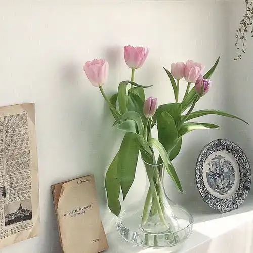 小众ins风背景图
