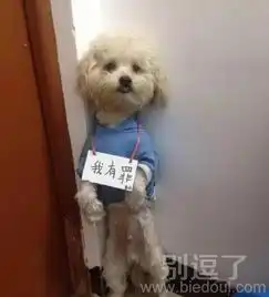 最新笑话段子大全笑话图片爆笑图片第10052页别逗了笑话网
